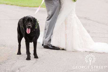 Wedding Officiant Indianapolis