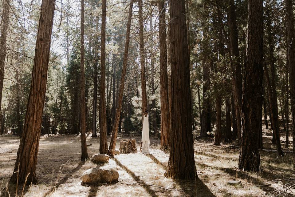 Yosemite Wedding