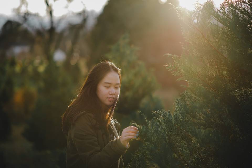 Admiring the trees