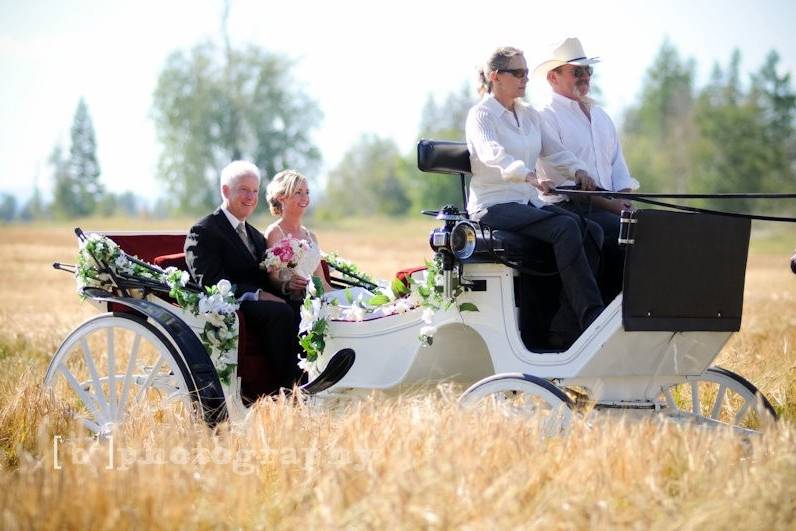 The bride in her carriage