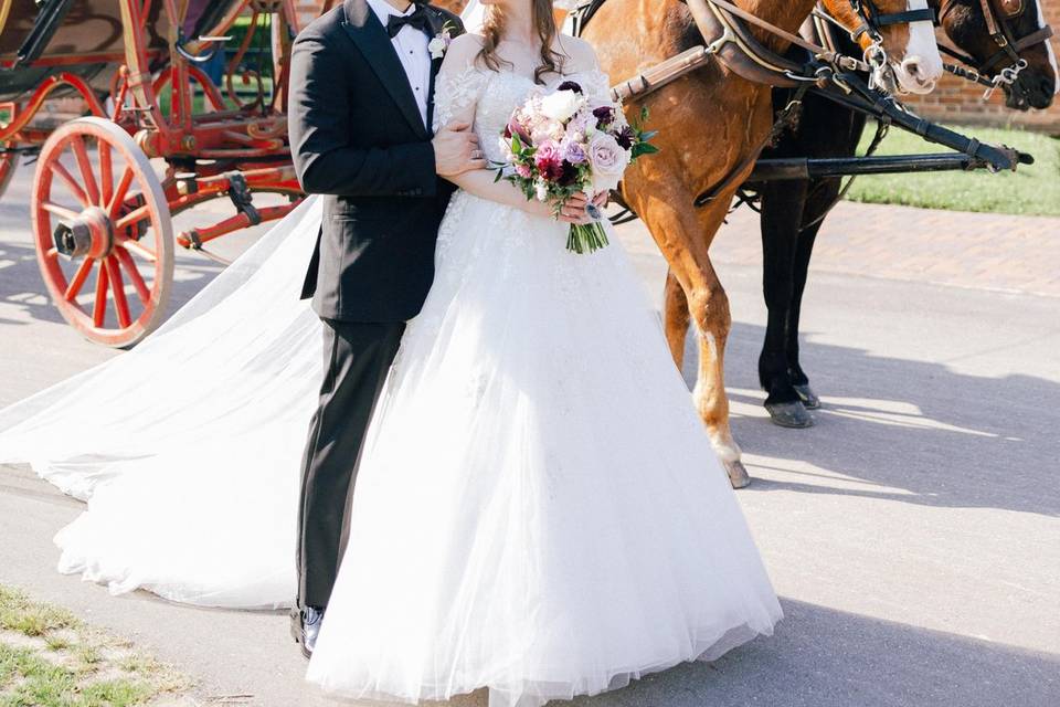 Horse & Carriage