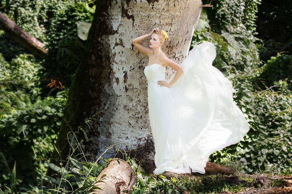 Ciara Cusseaux Imagery