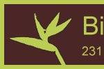 Bird of Paradise Florist PA