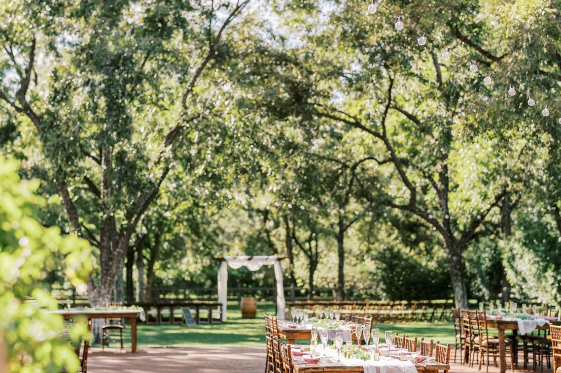 Venue at the Grove - Banquet Halls - Phoenix, AZ - WeddingWire