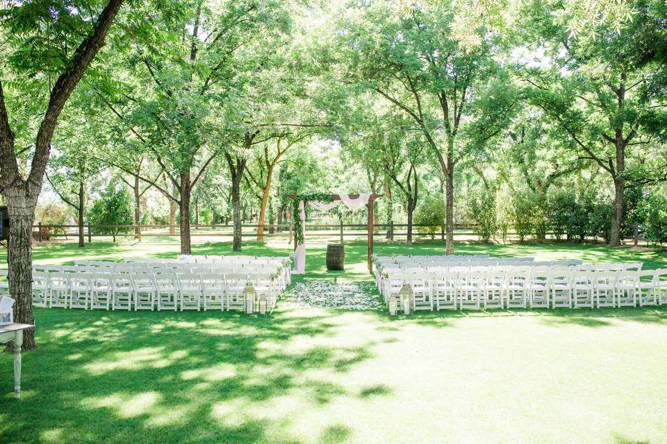 Ceremony in the Grove