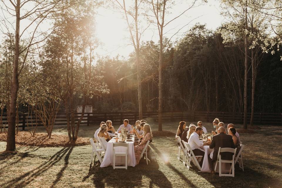 Woodland wedding