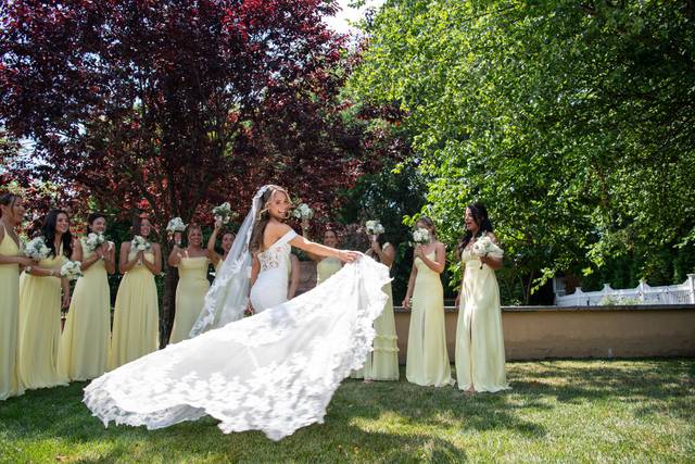 The Dress!