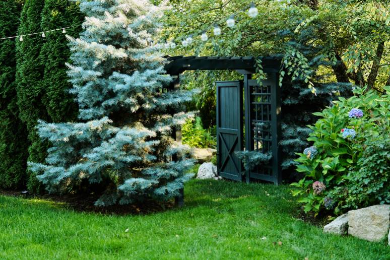 Cocktail Garden