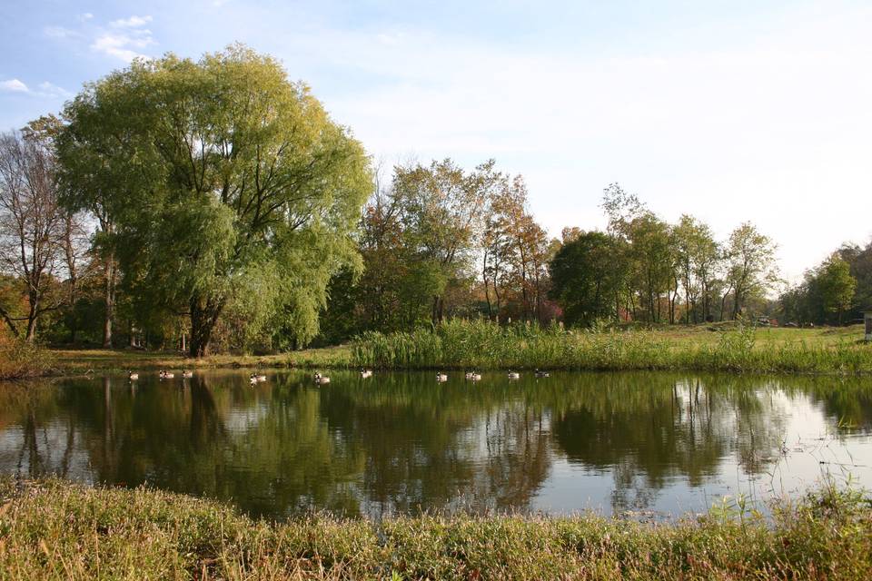 Sundial Farm Pond