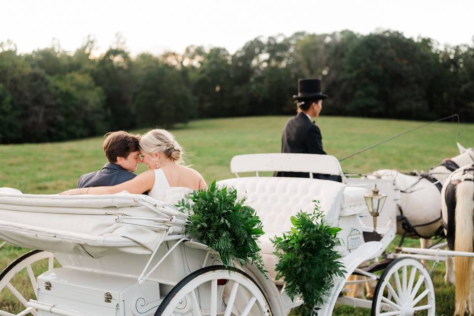 Romantic horse and carriage
