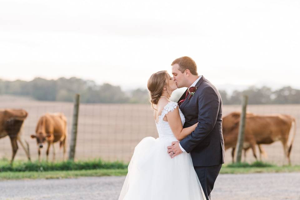 Virginia Farm wedding photos