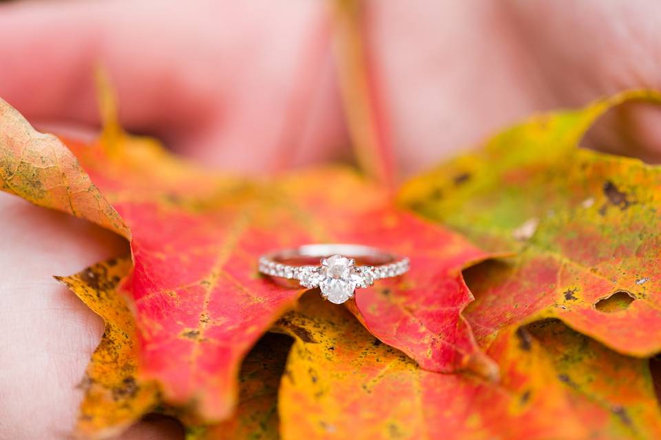 Engagement ring in fall leaves