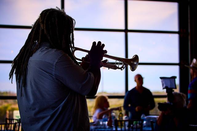 Live Music in Winery