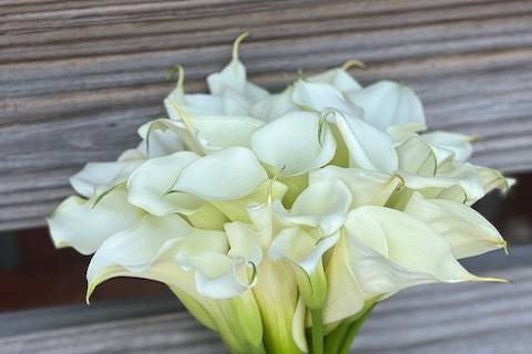 Mini Calla Lily Bouquet