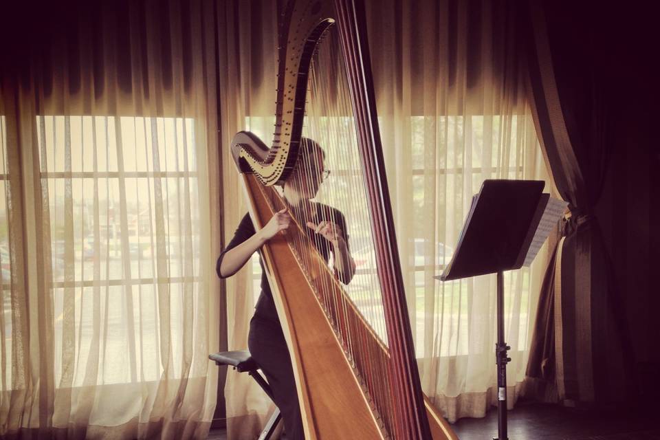 Kathryn Sloat, Harpist