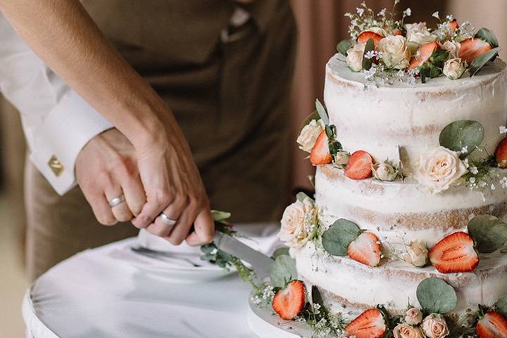 The cake-cutting