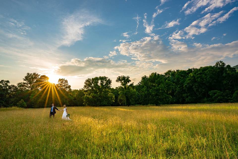 Derek DiLuzio Weddings