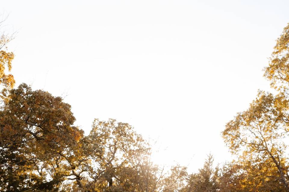 Outdoor fall portraits