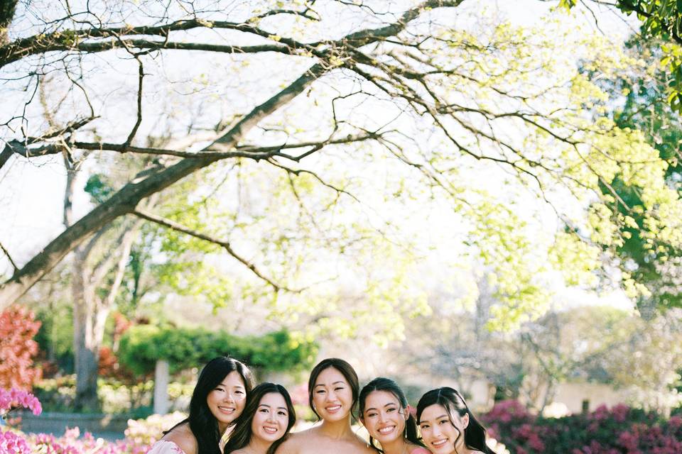 Bridesmaids on Film