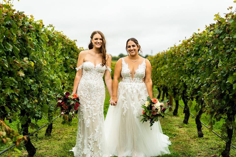 Newport Vineyard