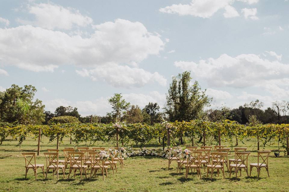 Ceremony in the Vineyard