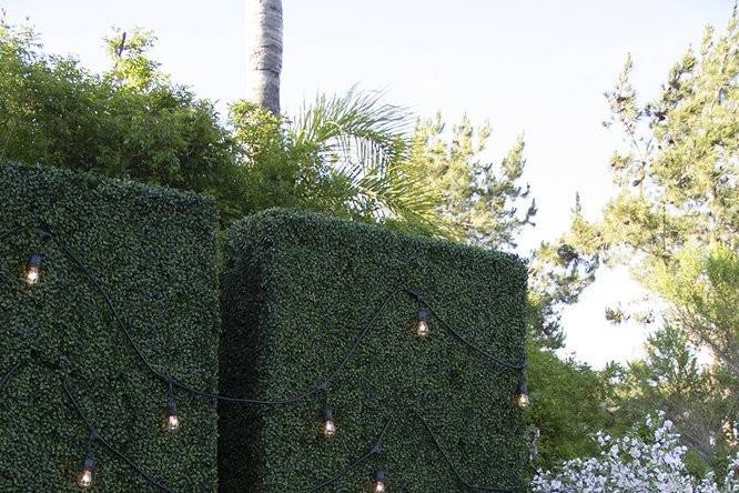 Our hedges make the perfect backdrop and add privacy