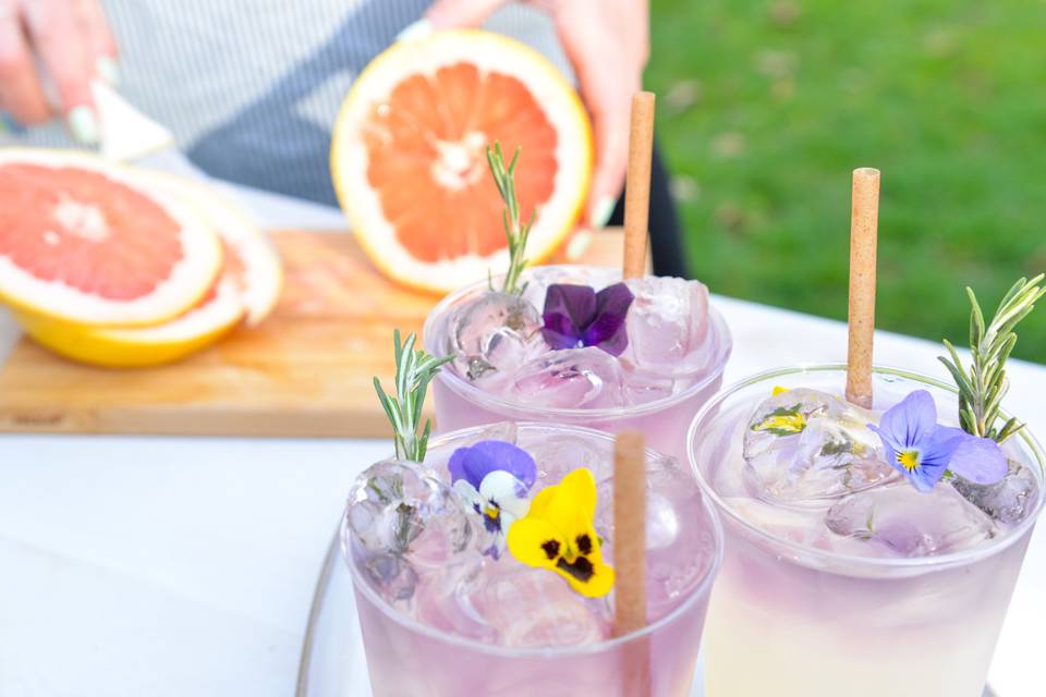 Cocktails & Dreams