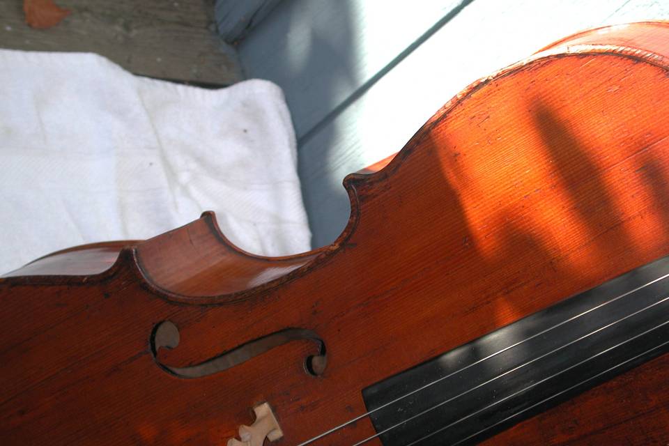 Steve's Grampa's cello