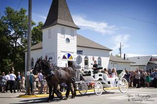 Equine Elegance Horse Drawn Services