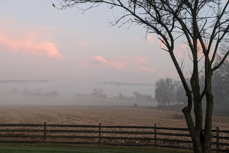 Misty Morning