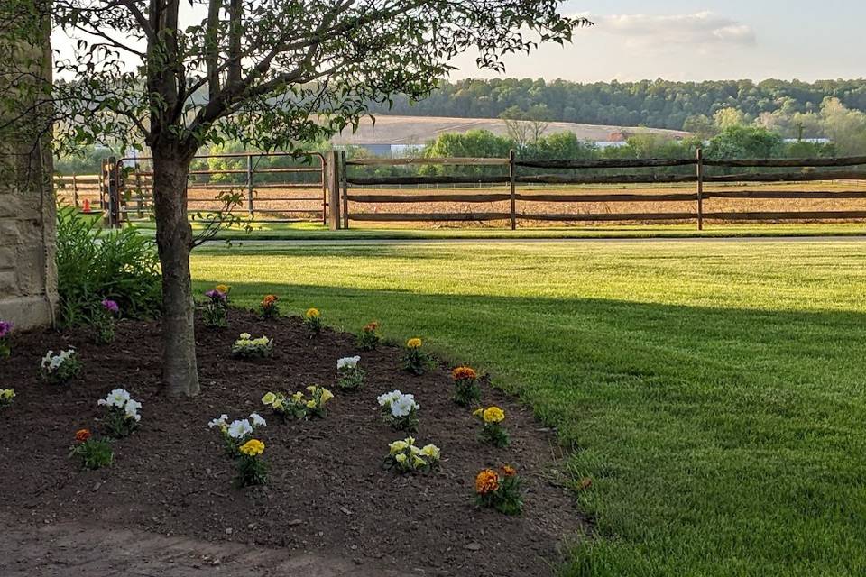 Spring planting