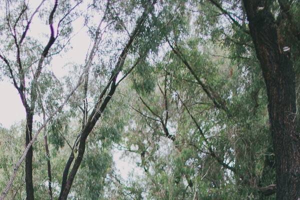 Leah D'Ambrosia Photography