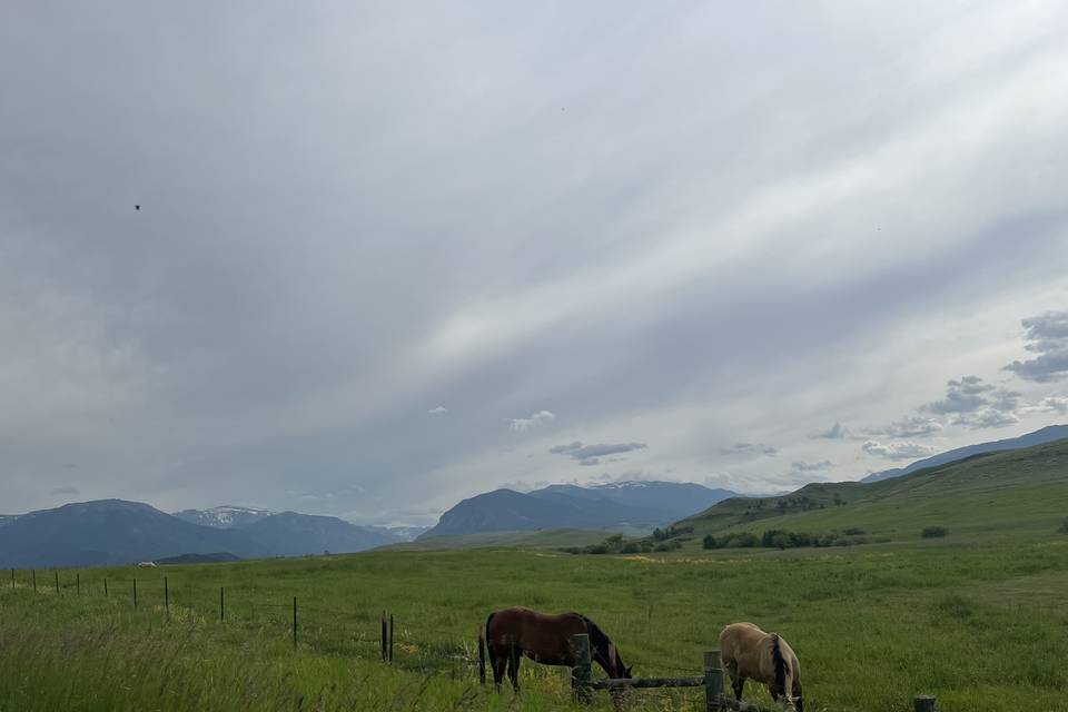 Private Ranch