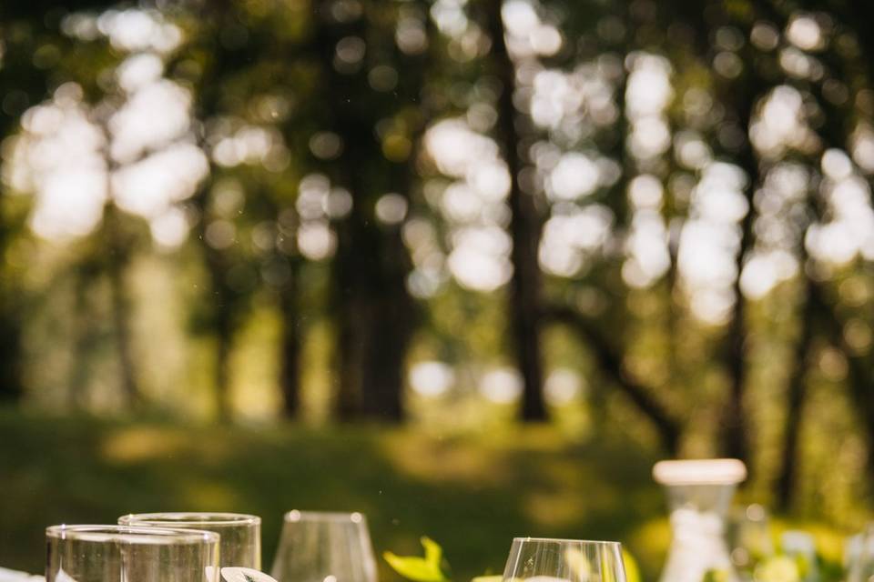 Forest Wedding