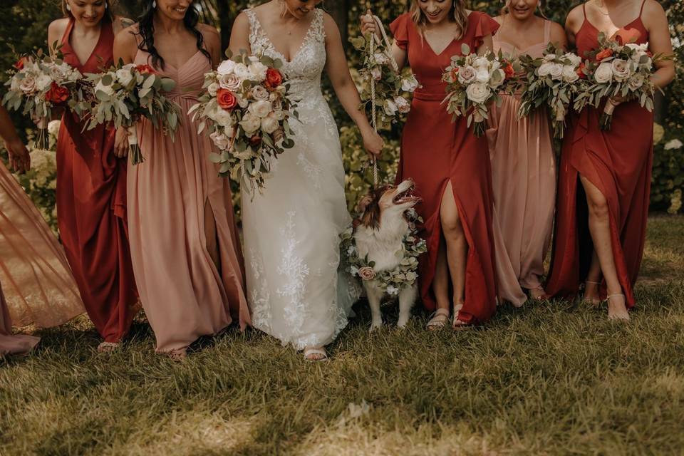 Yep we do dogs in wedding!