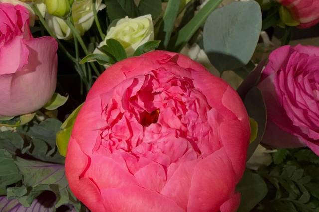 Deemer's Florist and Greenhouse
