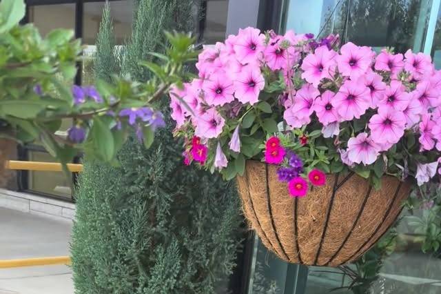 Deemer's Florist and Greenhouse
