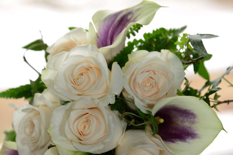 White and violet flowers