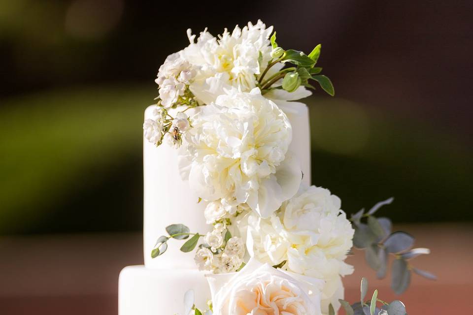 Elegany wedding cake