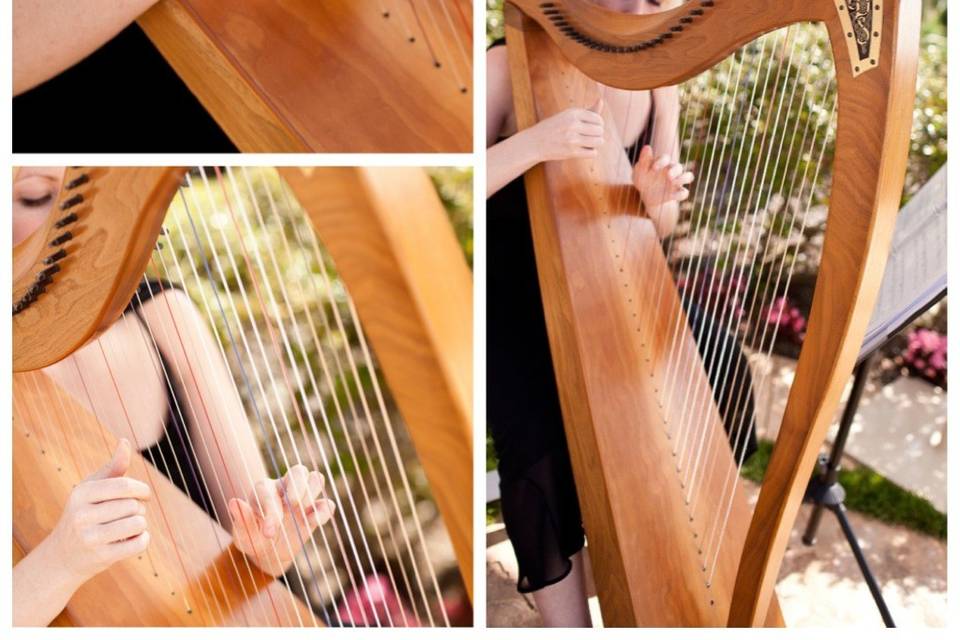 Playing harp for a wedding