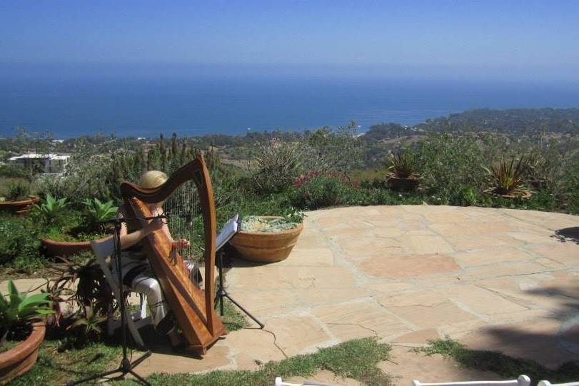 Playing harp before a wedding