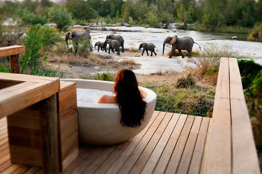 Safari honeymoon