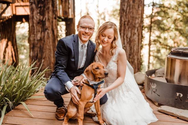 Redwoods Elopement Couple