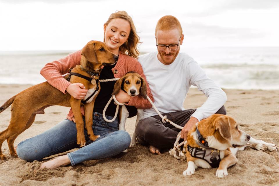 Dog-Friendly Beach Engagement
