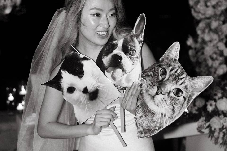 Wedding beauty elevated