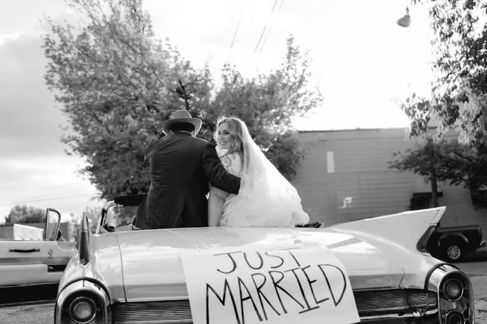 Toohey Weddings