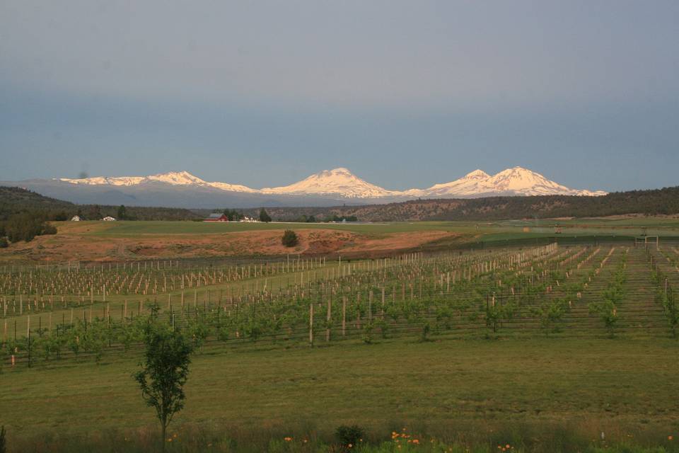 Faith, Hope and Charity Vineyard and Events Center