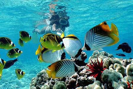 SNORKELING IN BALI, INDONESIA