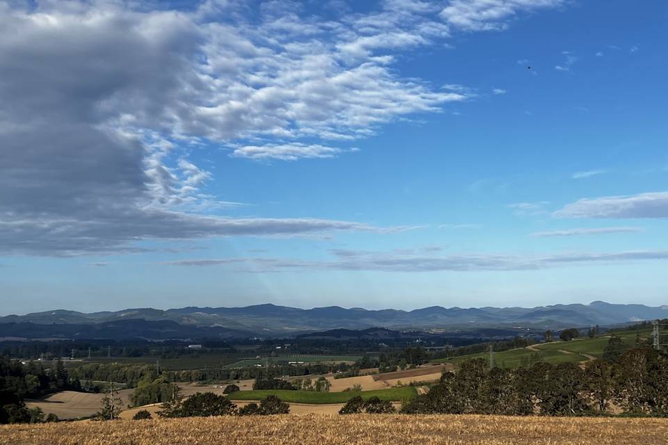 Summer view from Ghost Hill