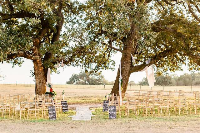 Outdoor ceremony setup